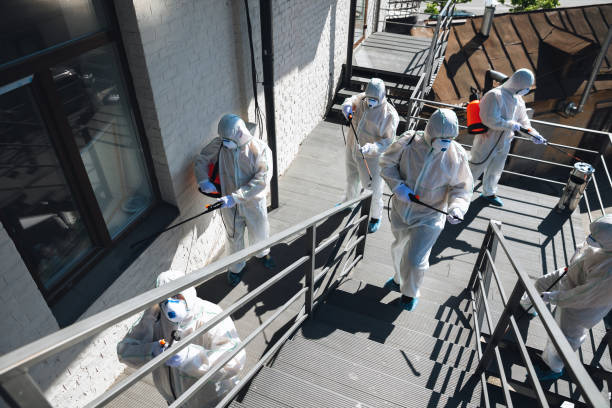 Best Emergency Mold Remediation  in Glen Cove, NY