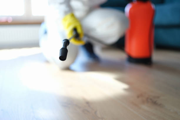 Best Dehumidification Services  in Glen Cove, NY